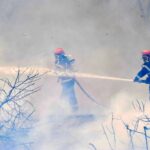 Flăcări devastatoare în Hârșova: 2 hectare de vegetație uscată învăluite de foc 3 incendiu de vegetatie uscata in harsova flacarile au cuprins aproximativ 2 hectare 6857cb1a04ef4