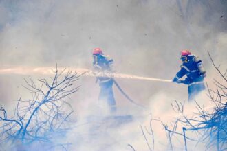 incendiu de vegetatie uscata in harsova flacarile au cuprins aproximativ 2 hectare 6857cb1a04ef4
