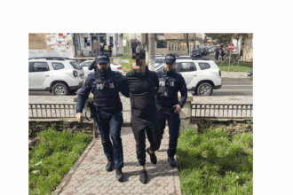 inconstienta la volan tanar de 20 de ani arestat preventiv dupa ce a provocat un accident in cobadin si a fugit 683ebe9d9ddc5