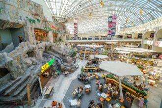 infografic mall urile din romania cele mai mari incasari din istoria pietei moderne de retail in pofida inflatiei noua schimbare de lider si o eliminare din clasament 6859cb3c6e744