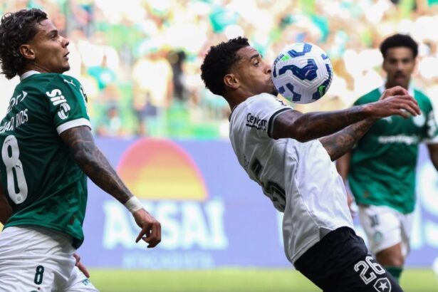 live video palmeiras botafogo live de la ora 1900 rivalele se infrunta in la mondialului cluburilor 685f82334fa20