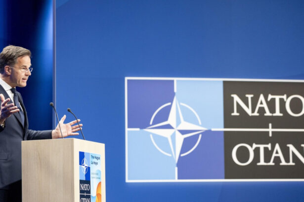 mark rutte prezideaza primul sau summit nato la haga principalele sale provocari relatia nato cu trump si cu rusia 685a41791d26f