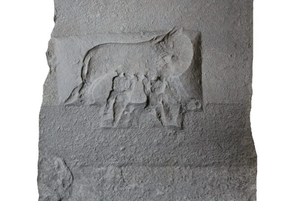 militarul care a ales lupoaica soldatul valens si a afirmat romanitatea in inima dobrogei 684caa8d2e381