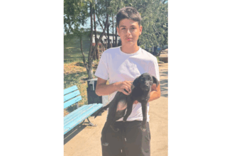 minnie o catelusa de patru luni din adapostul public din constanta si a gasit o noua familie 686245727cb6a