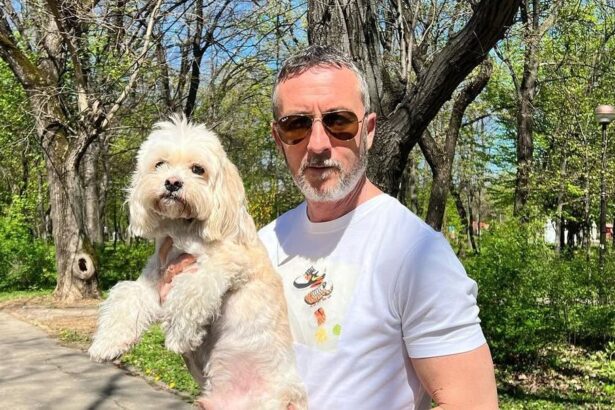 mm stoica stie cine e tapul ispasitor din romania spania pe buna dreptate nu poti sa faci un asa gest 684dd97bc6276