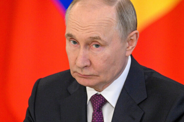 motivul pentru care putin nu va fi prezent la summitul brics din brazilia 685cf950a5d40