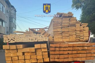 murfatlar sofer amendat pentru nerespectarea dispozitiilor codului silvic vezi ce spun politistii 685fc936966c1
