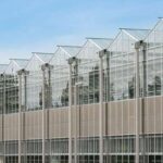 Richel Group, lider european, pătrunde cu forță pe piața românească! 3 nou jucator richel group unul dintre liderii europeni in domeniu intra in romania 684759d168f8b