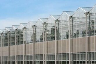 nou jucator richel group unul dintre liderii europeni in domeniu intra in romania 684759d168f8b