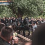 Reguli noi pentru bunăstarea animalelor: Stop competițiilor și spectacolelor dăunătoare 3 noua reglementare vizata pentru protectia animalelor interzicerea anumitor concursuri si spectacole 6849d2b55b96a