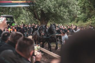 noua reglementare vizata pentru protectia animalelor interzicerea anumitor concursuri si spectacole 6849d2b55b96a