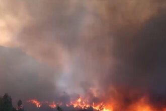 o menajera este acuzata ca a provocat unul dintre incendiile devastatoare din insula greceasca chios 685ce7f32afe2