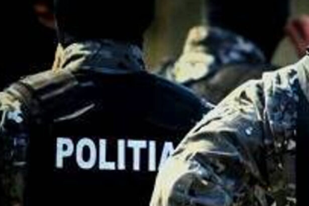 perchezitii ale politistilor timisoreni in 7 judete intr un dosar de evaziune fiscala cu un prejudiciu de 3 milioane de lei 6853b0d2d6dd3