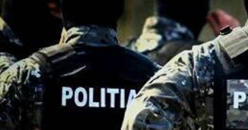 Raiduri ale autorităților din Timișoara în șapte județe, vizând o schemă de evaziune fiscală cu o pagubă de 3 milioane de lei 1 perchezitii ale politistilor timisoreni in 7 judete intr un dosar de evaziune fiscala cu un prejudiciu de 3 milioane de lei 6853b0d2d6dd3