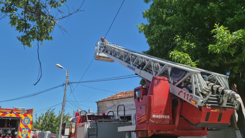 Pompierii în stare de urgență: Incendiu devastator la o anexă din Murfatlar 1 pompierii sunt in alerta anexa unei locuinte din murfatlar a luat foc 684ea23207887