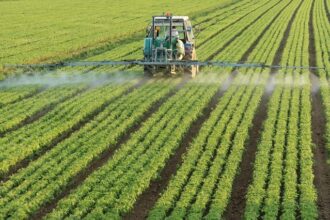 randamentele agricole mondiale vor scadea cu procente cuprinse intre 11 si 24 pana in 2100 6853caf45a966