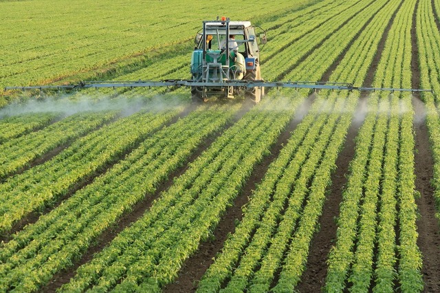 Producția agricolă globală se va reduce cu până la 24% până în anul 2100 1 randamentele agricole mondiale vor scadea cu procente cuprinse intre 11 si 24 pana in 2100 6853caf45a966