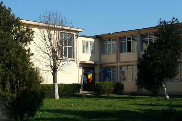 rasturnare de situatie scoala gimnaziala nr 22 ic bratianu pierde procesul pentru personalitatea juridica la mijloc suspendarea hotararii clc 685ade812a875