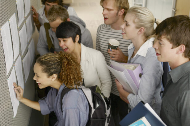 rezultate la bacalaureat 2025 la ce ora se afiseaza notele finale dupa solutionarea contestatiilor 6861938ca8f35