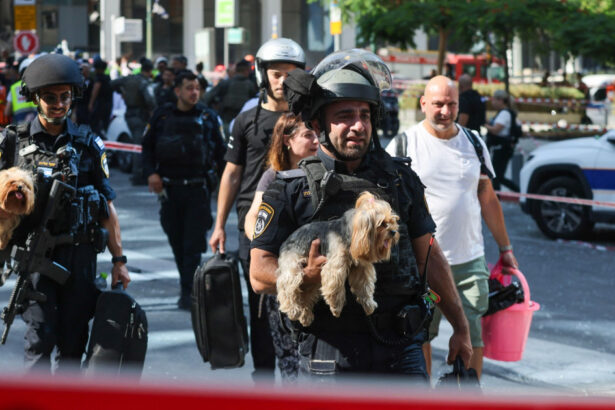 romania permite intrarea animalelor de companie din israel chiar si fara vaccin sau microcip in baza unui formular 685ac034cc539