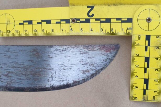 scandal cu o maceta un cutit si o teava in cartierul anadalchioi inchisoare cu suspendare 68435e57d5ec8