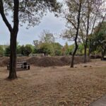 Tragedie în Parcul Tăbăcărie: Un adolescent descoperit fără viață în circumstanțe îngrijorătoare. 3 socant un minor a fost gasit spanzurat in parcul tabacarie 683e82042400d