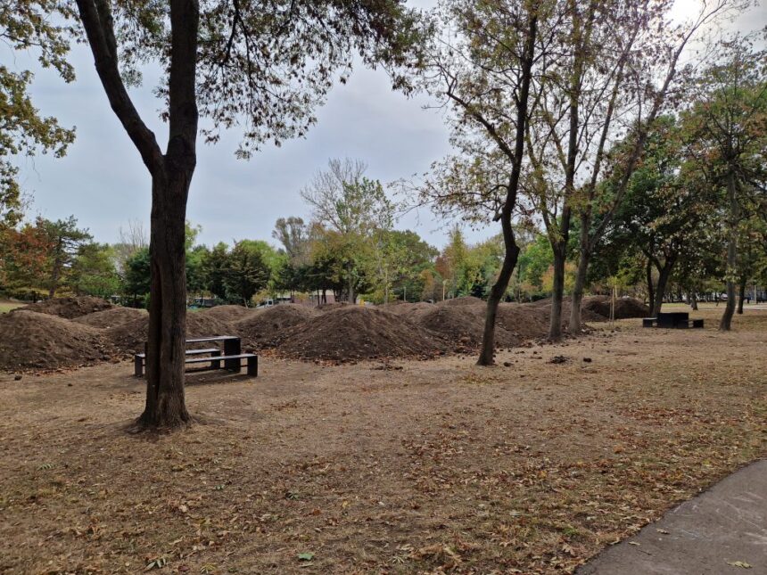 Tragedie în Parcul Tăbăcărie: Un adolescent descoperit fără viață în circumstanțe îngrijorătoare. 1 socant un minor a fost gasit spanzurat in parcul tabacarie 683e82042400d