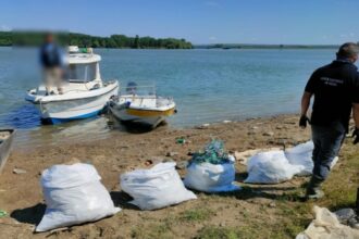 sute de ambarcatiuni verificate dintre care 19 au fost confiscate in cadrul activitatilor pentru combaterea pescuitului ilegal 684f26f4ba691