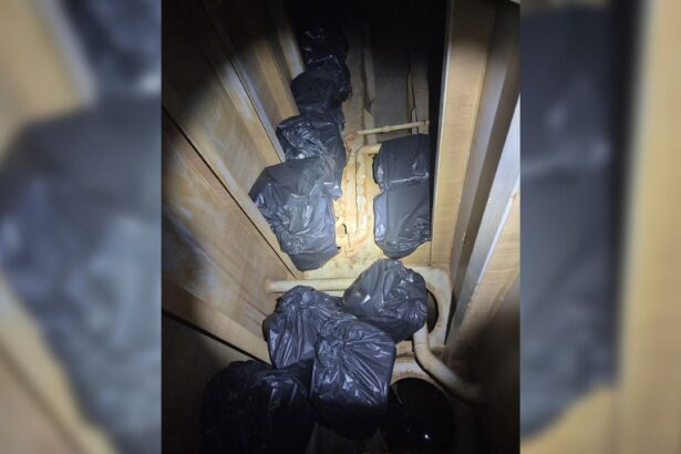 tigari de contrabanda ascunse intr un tanc de apa descoperite pe o nava in portul constanta 686113b860268