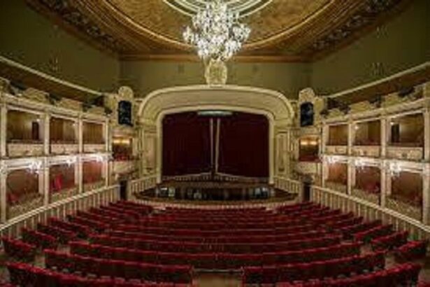 toti elevii care au luat bac ul cu media 10 au acces gratuit la opera nationala bucuresti in stagiunea urmatoare 685593f0e039d