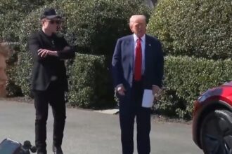 trump versus musk 10 moduri in care isi pot face rau reciproc 6843e04f16c92