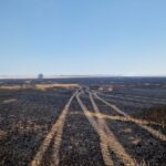 Un agricultor din Topraisar denunță un incident grav: recolta de grâu pe 44 de hectare a fost distrusă de un incendiu provocat de vegetația incendiată în poligonul UM 01737. 3 un fermier din topraisar face acuzatii dupa ce recolta de grau de pe 44 de ha a ars focul ar fi izbucnit de la vegetatia care a ars in poligonul um 01737 685d93d8b40a8