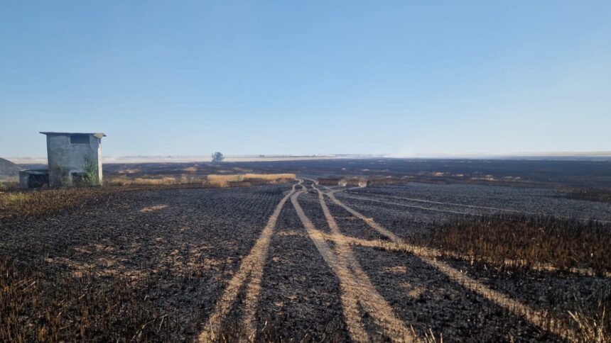 Un agricultor din Topraisar denunță un incident grav: recolta de grâu pe 44 de hectare a fost distrusă de un incendiu provocat de vegetația incendiată în poligonul UM 01737. 1 un fermier din topraisar face acuzatii dupa ce recolta de grau de pe 44 de ha a ars focul ar fi izbucnit de la vegetatia care a ars in poligonul um 01737 685d93d8b40a8