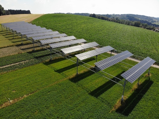 Un consorțiu din Spania va dezvolta un parc agrofotovoltaic în inima județului Iași 1 un grup spaniol va construi un parc agrofotovoltaic in judetul iasi 68621eb3a7423