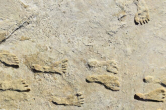 urmele de pasi care schimba istoria americii ce au descoperit cercetatorii in white sands 686211ba97138