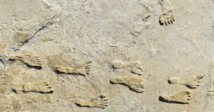 Urmele misterioase care au revoluționat istoria Americii: Descoperirile fascinante de la White Sands 1 urmele de pasi care schimba istoria americii ce au descoperit cercetatorii in white sands 686211ba97138
