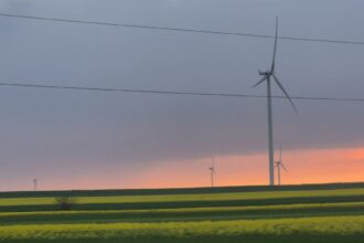 vezi aici cum va fi vremea in dobrogea zilele acestea meteorologii au anuntat cand va ploua 6847c8179cd7e