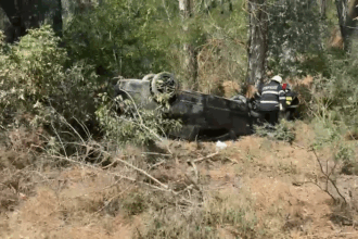video accident grav in apropiere de plauru tulcea doua persoane ranite una cu membru amputat 685d3b341d340