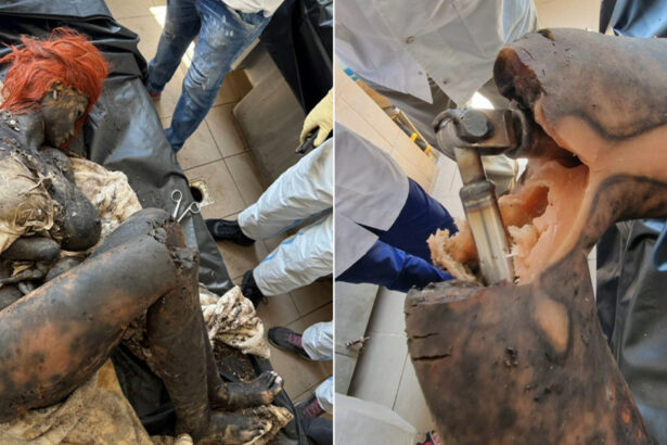 video alerta falsa la ploiesti o papusa de plastic a fost transportata la inml dupa ce a fost confundata cu cadavrul unei femei 685ac037d7111