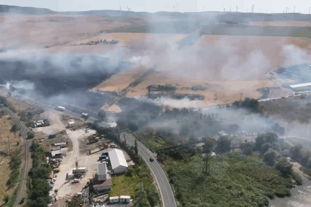 video alerta in babadag culturi in flacari fum dens si risc de extindere catre ferme si gospodarii 685ea57cac057