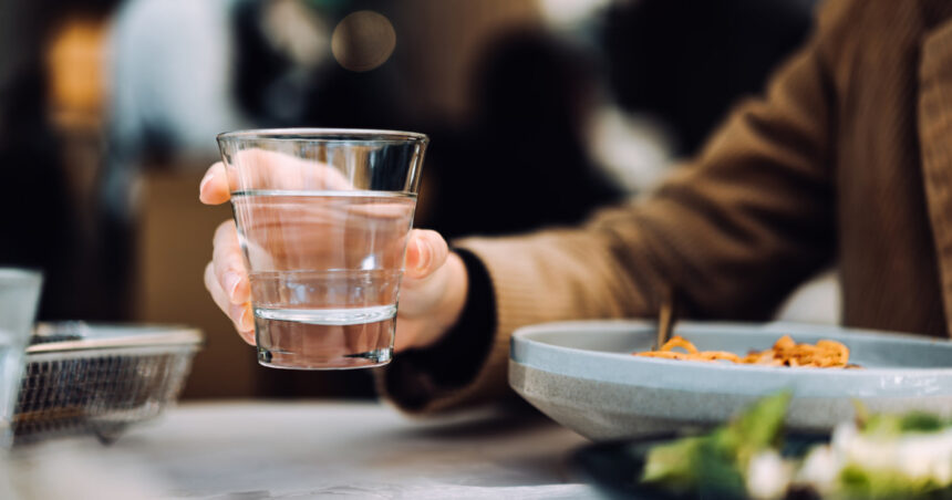 Apă gratuită doar pe hârtie: Studiu Digi24 despre neregulile din restaurantele care ignoră legea de un an. „Nu oferim, așa ne impune politica” 1 video apa gratis doar pe hartie experiment digi24 cum incalca restaurantele legea in vigoare de un an noi nu dam asa e politica firmei 685f6b28b4137