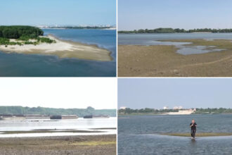 video canicula scade alarmant debitul dunarii judetul in care fluviul poate fi trecut la pas pe anumite portiuni 685650689f1a4