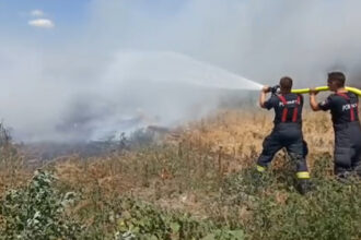 video care sunt cele mai expuse judete la incendiile de vegetatie si cum vor fi monitorizate de autoritati 684fd87490a63