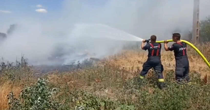 Județele cele mai vulnerabile la incendiile de vegetație și strategiile de supraveghere ale autorităților 1 video care sunt cele mai expuse judete la incendiile de vegetatie si cum vor fi monitorizate de autoritati 684fd87490a63