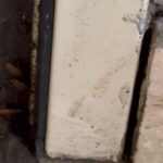 Comisarii ANPC au realizat o nouă inspecție la restaurantul chinezesc din mallul bucureștean: descoperiri șocante cu gândaci, alimente expirate și igienă precară! 2 video comisarii anpc au controlat din nou restaurantul chinezesc dintr un mall al capitalei gandaci produse expirate si pereti murdari 6857822883d74