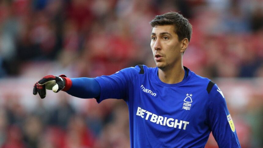 Costel Pantilimon, surprins de transferul neașteptat al unei echipe din play-off: „O revelație! Nu-mi venea să cred!” 1 video exclusiv costel pantilimon a reactionat dupa ce a vazut ce mutare a facut o echipa de play off o surpriza nu ma asteptam 68492364a2625