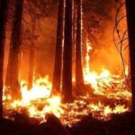 Nori de fum din incendiile canadiene au invadat Europa 3 video fumul incendiilor din canada a ajuns in europa 683f5823956d8