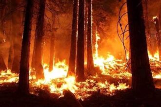 video fumul incendiilor din canada a ajuns in europa 683f5823956d8