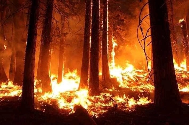 Nori de fum din incendiile canadiene au invadat Europa 1 video fumul incendiilor din canada a ajuns in europa 683f5823956d8