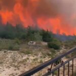 Flăcările devastatoare ale pădurilor din Turcia 3 video incendii masive de padure in turcia 6862759f4feb4